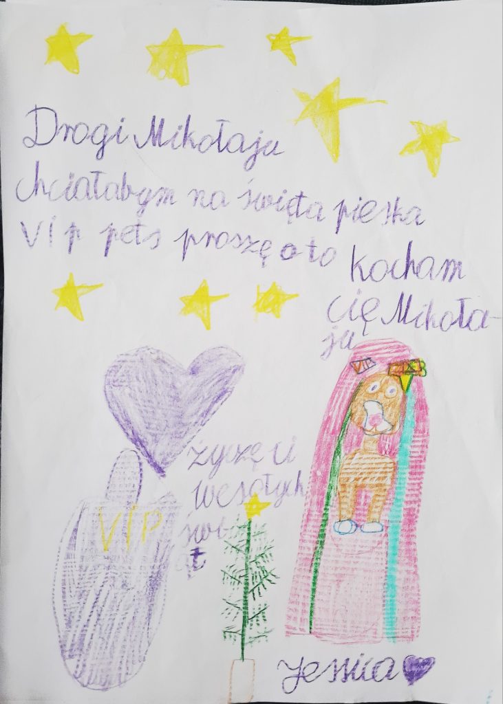 Zdjęcie z akcji Podaruj Gwiazdkę, edycja 2025